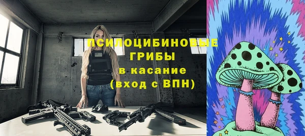 дживик Приозерск