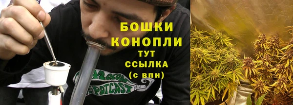 дмт Белокуриха