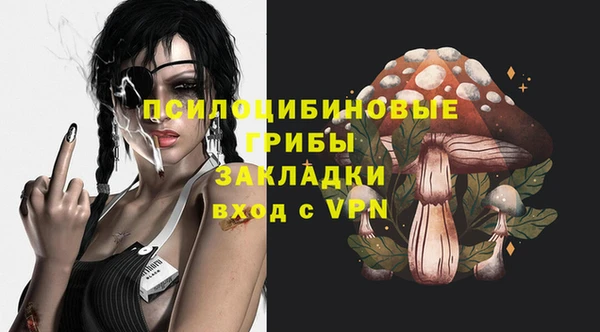 дживик Приозерск
